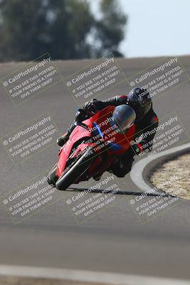 media/Nov-02-2025-Lets Ride (Sun) [[f7a3caa734]]/B Group/1220pm (Turn 2 Outside)/